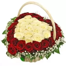 51 роза