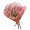 35 гипсофил розовых