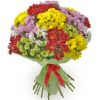 33 хризантемы кустовых микс