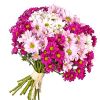 15 хризантем кустовых микс