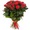 31 роза красная