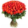 101 роза коралловая