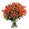 37 кустовых роз коралловых