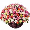 85 роз кустовых