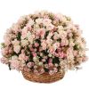 55 роз кустовых