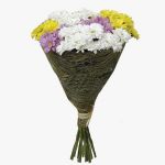 11 хризантем кустовых микс