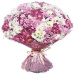 51 хризантема кустовая микс