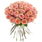 31 персиковая роза