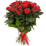 31 роза красная