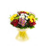 12 хризантем кустовых 7 хризантем кустовых сантини