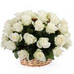 31 роза