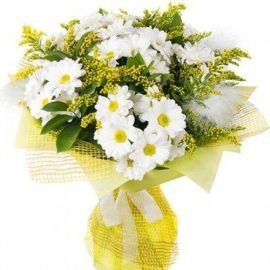 7 кустовых хризантем белых