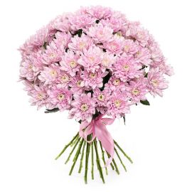 21 хризантема кустовая розовая