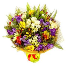 51 фрезия микс