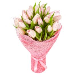 25 тюльпанов розовых