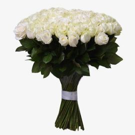 81 роза белая
