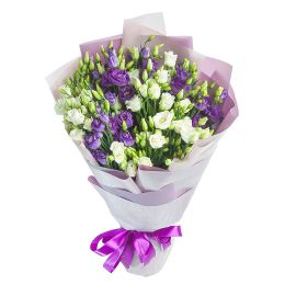 27 эутом микс