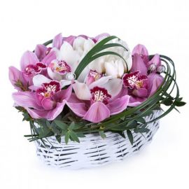 13 орхидей 10 тюльпанов