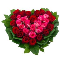 31 роза