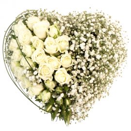 31 роза кустовая