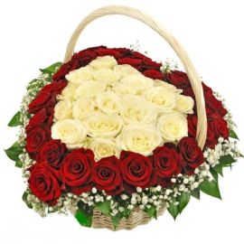 51 роза
