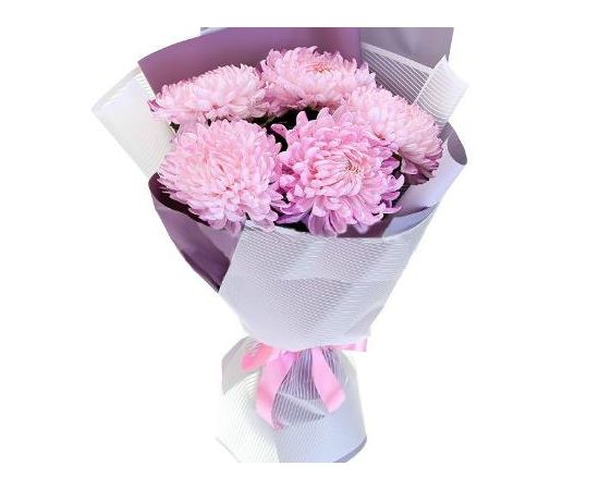 5 хризантем игольчатых розовых