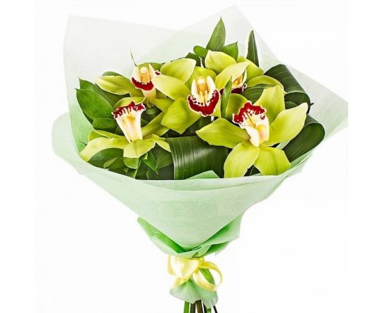 5 орхидей желтых