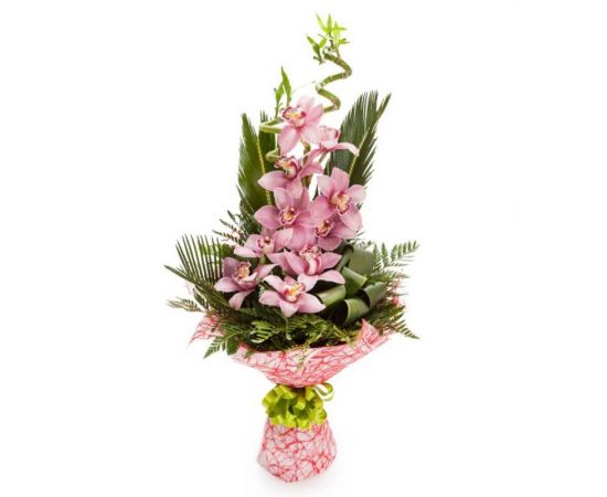 13 орхидей розовых 2 бамбука