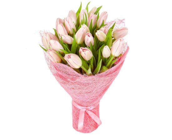 25 тюльпанов розовых
