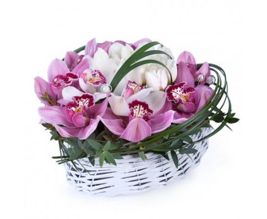 13 орхидей 10 тюльпанов