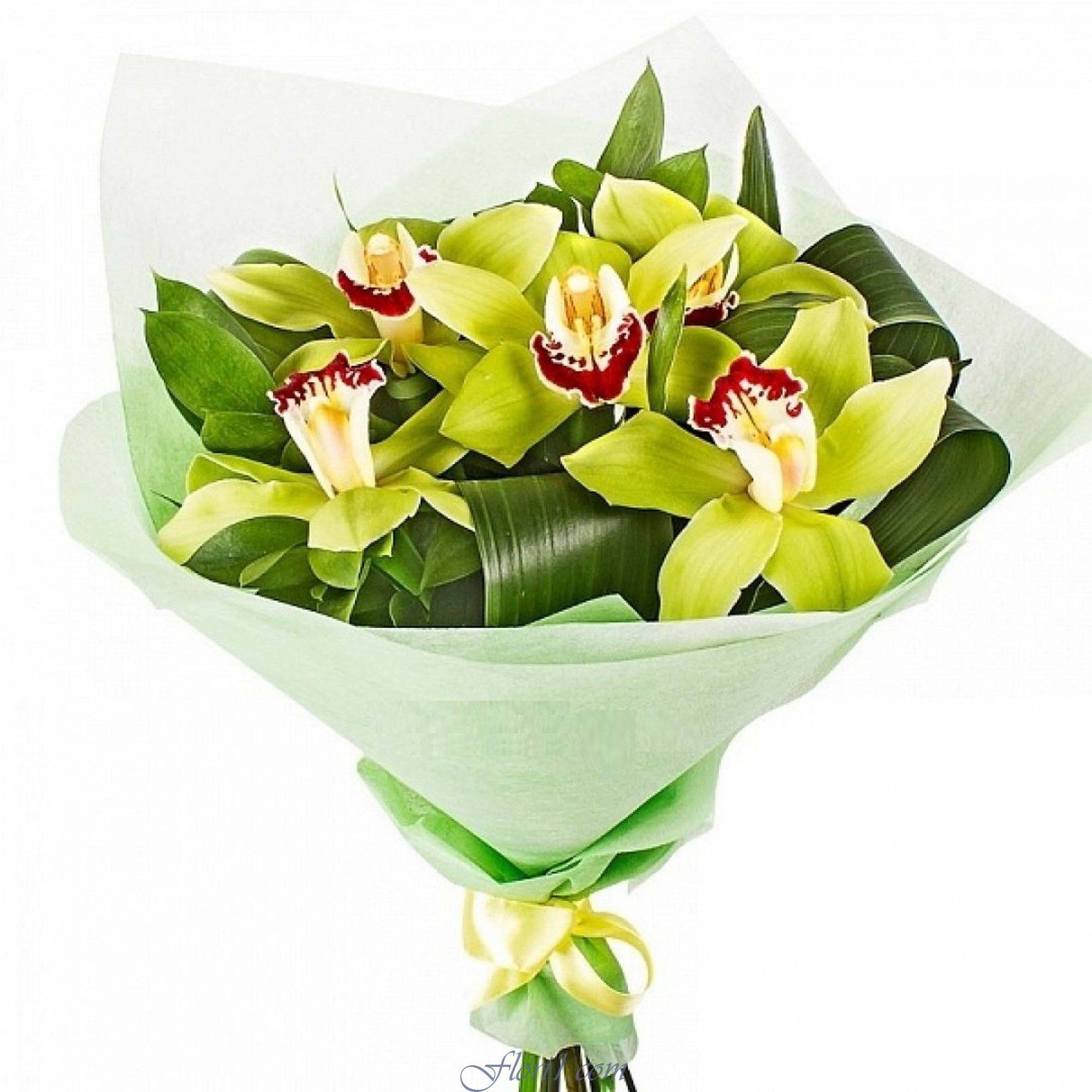 Букет с орхидеей Цимбидиум